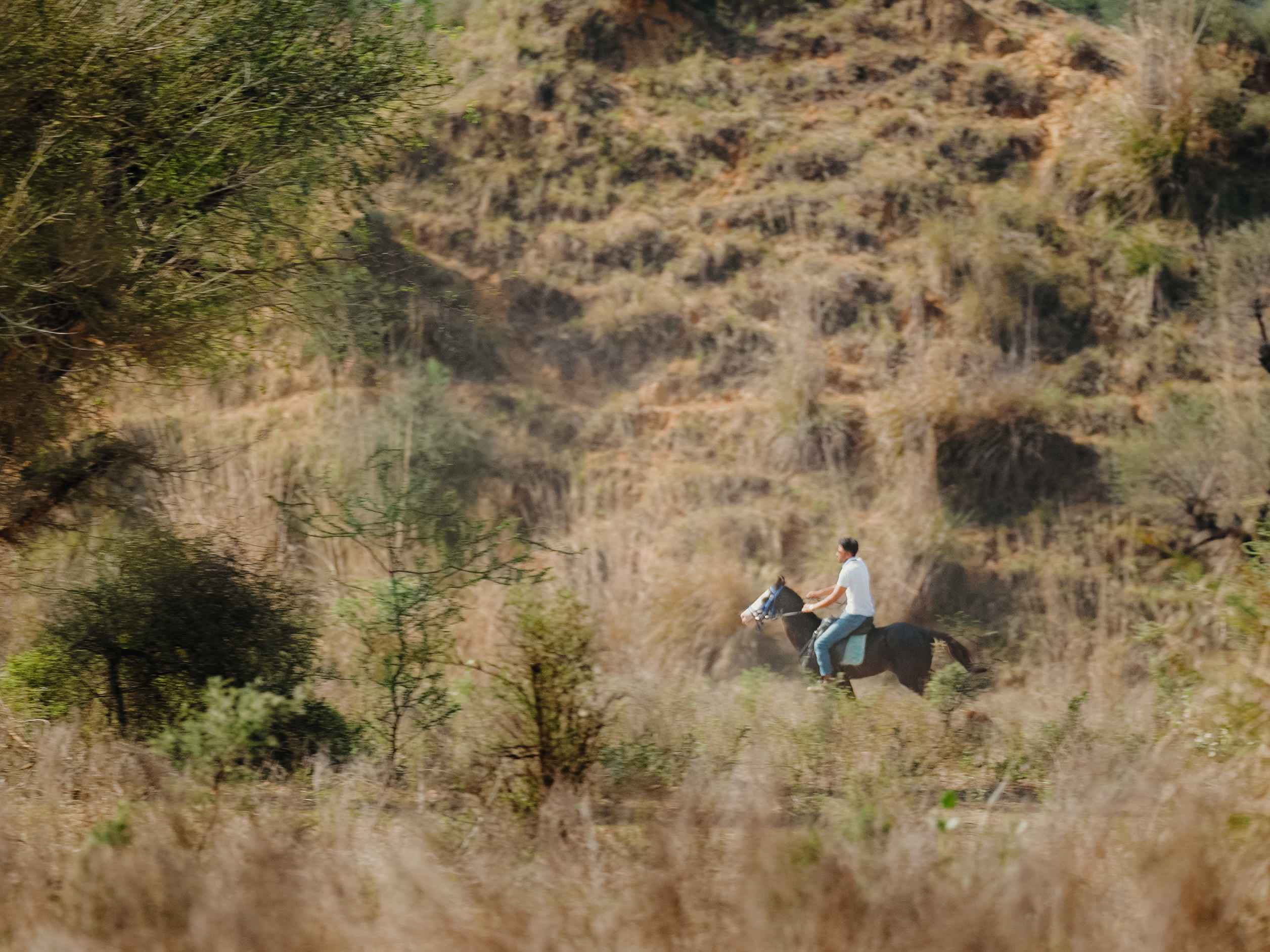 Horse and Dirt Bike Adventure